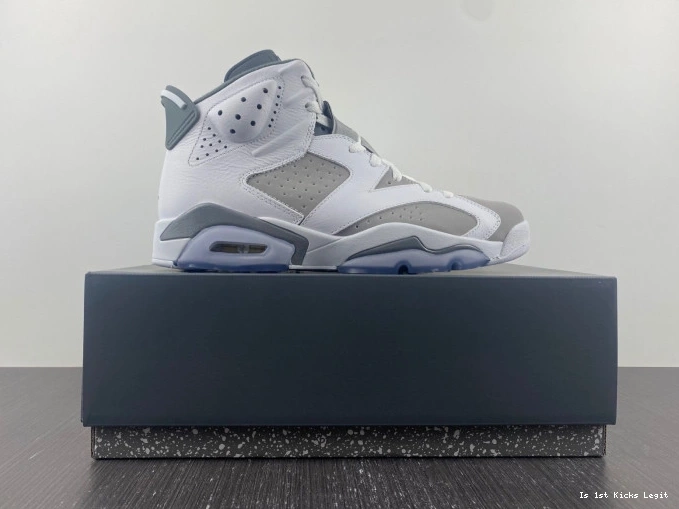 Jordan 6 Grey CT8529-100 Air Cool 0721